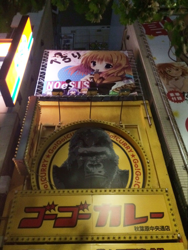 NOeSIS ゴーゴーカレー
