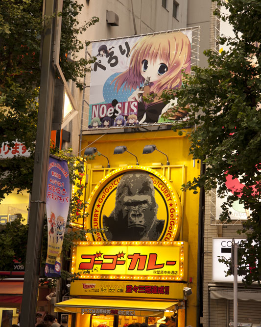 NOeSIS ゴーゴーカレー