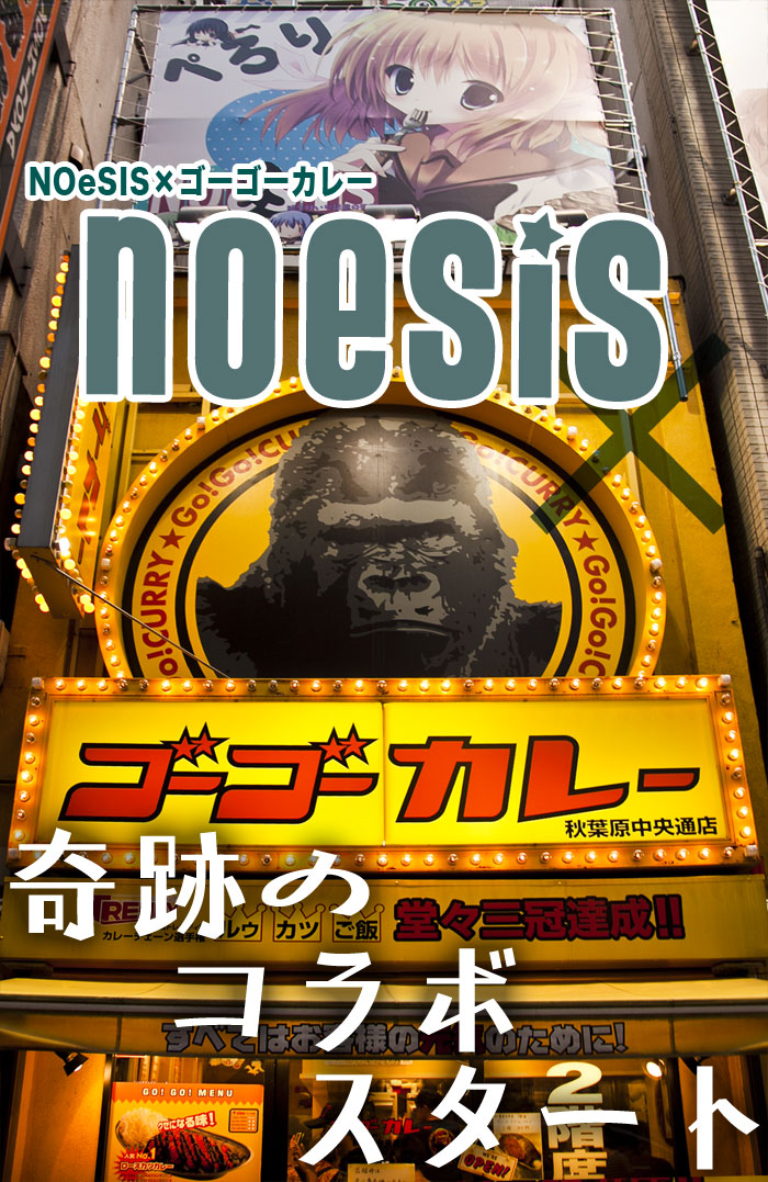 NOeSIS