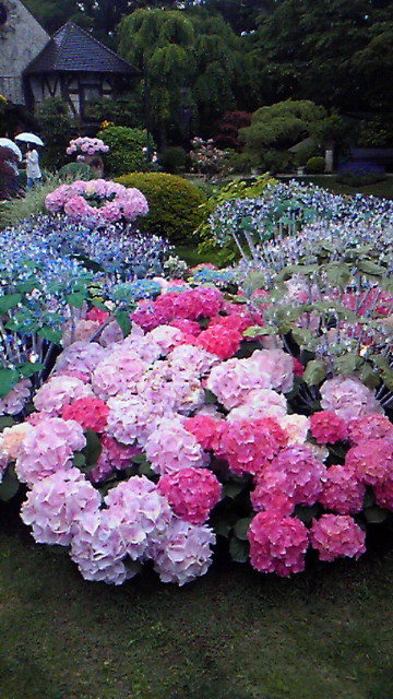 201206161540000.jpg
