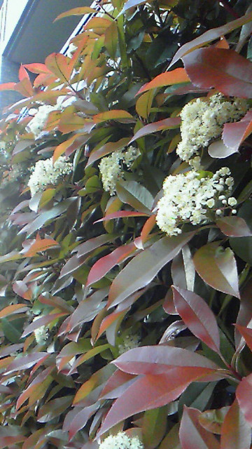 201304161706000.jpg