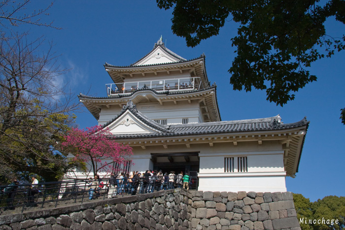 小田原城址