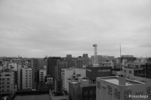 フィルターなし