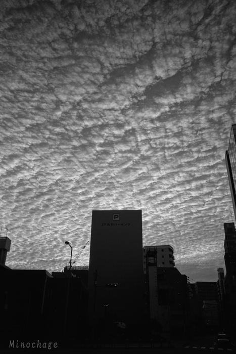 豪快な鱗雲