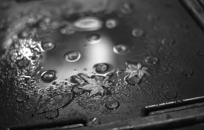 雨の新宿で