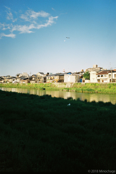 梅雨前の朝、鴨川べりで