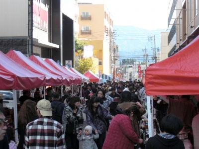 IFM2010