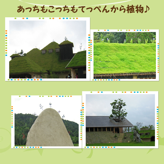 ラ コリーナ近江八幡 てっぺんから植物