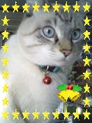 ¶ä¤Á¤ã¤ó¥¯¥ê¥¹¥Þ¥¹¥Ð¡¼¥¸¥ç¥ó