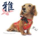 雅