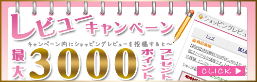 GMOとくとくポイントレビューキャンペーン