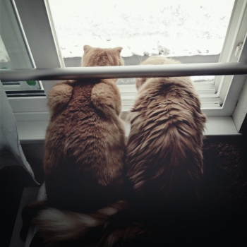 2013-03-07-08-03-12_deco.jpg