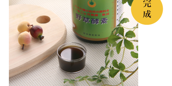 酵素 口コミ 野草