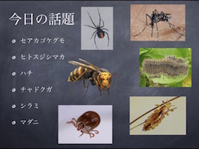 今日の話題