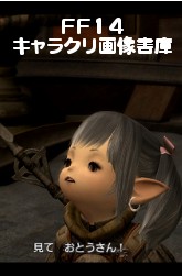 FF14饯