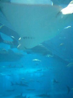 080420_1329~0001.jpg