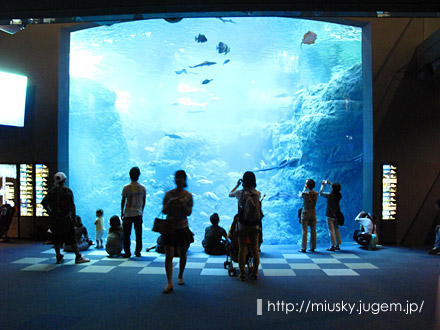 090620-5.jpg