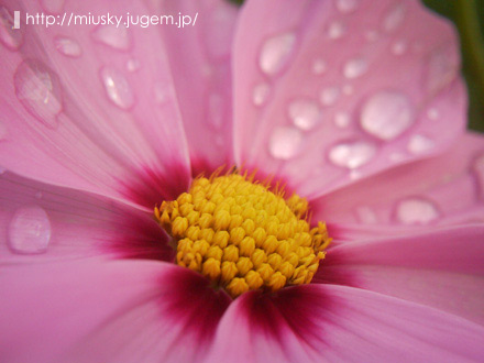 080922-3.jpg