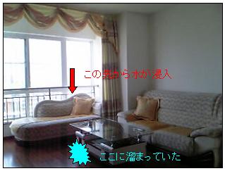 調査結果