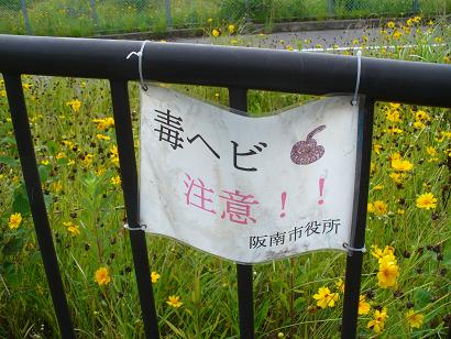 毒蛇注意