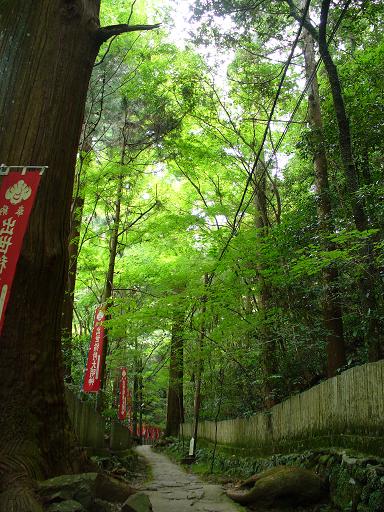 犬鳴山の参道