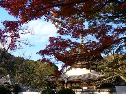 根来寺の大塔 (国宝)