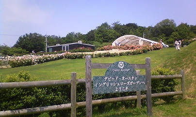 イングリッシュローズガーデン
