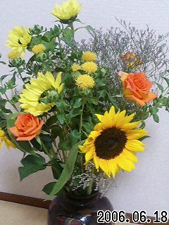 20060618_64436.jpg