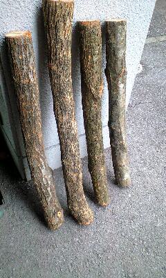 080209_1445~0002.jpg
