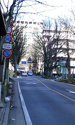 090111_1333~0001.jpg