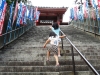 浄土寺階段
