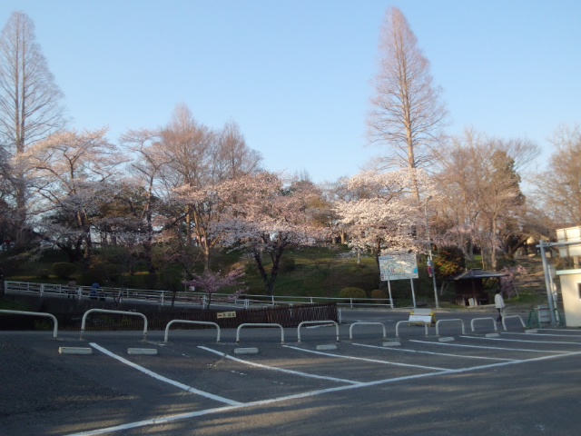 塩竈神社