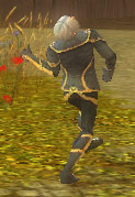 踊る