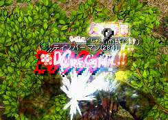 検証4