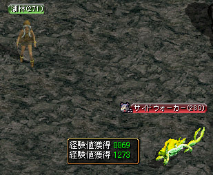 キャンサーの巣B3サイドウォーカー