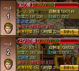 ペット エルフ暗殺者ZIN