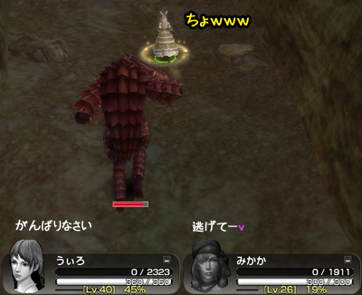 アルマジロに追いかけられて