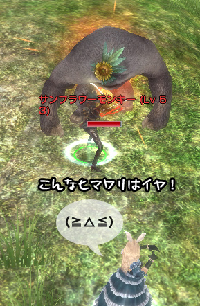 サンフラワーモンキー