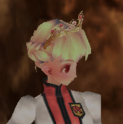 ¥×¥ê¥ó¥»¥¹