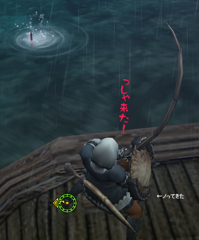 食いつき