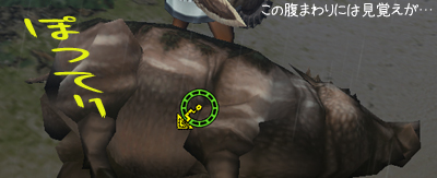 腹まわり