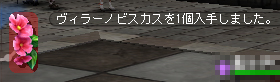 ヴィラーノビスカス