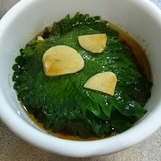 合法ハーブshiso