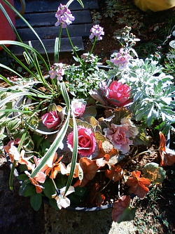 寄せ植え38
