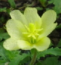 0911-7.jpg