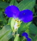 0911-8.jpg