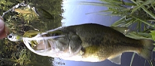 0911-9.jpg