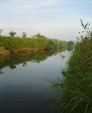 0911-12.jpg