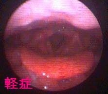 img050.jpg