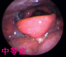 img052.jpg